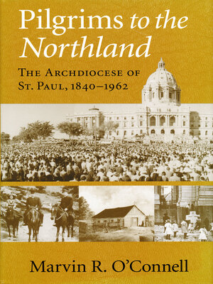 cover image of Pilgrims to the Northland